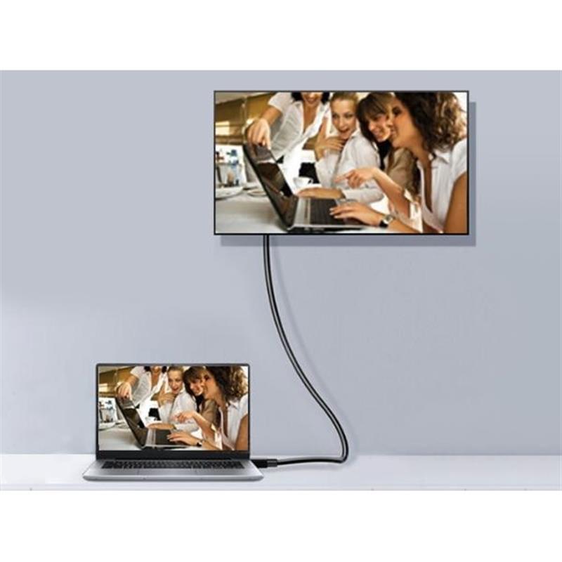Equip 119253 DisplayPort kabel 3 m Zwart