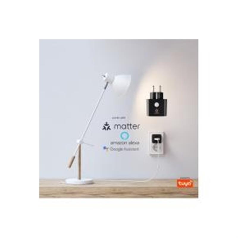 WOOX slimme stekker met energie meter WiFi en Matter ondersteund 16A 3680 Watt max 