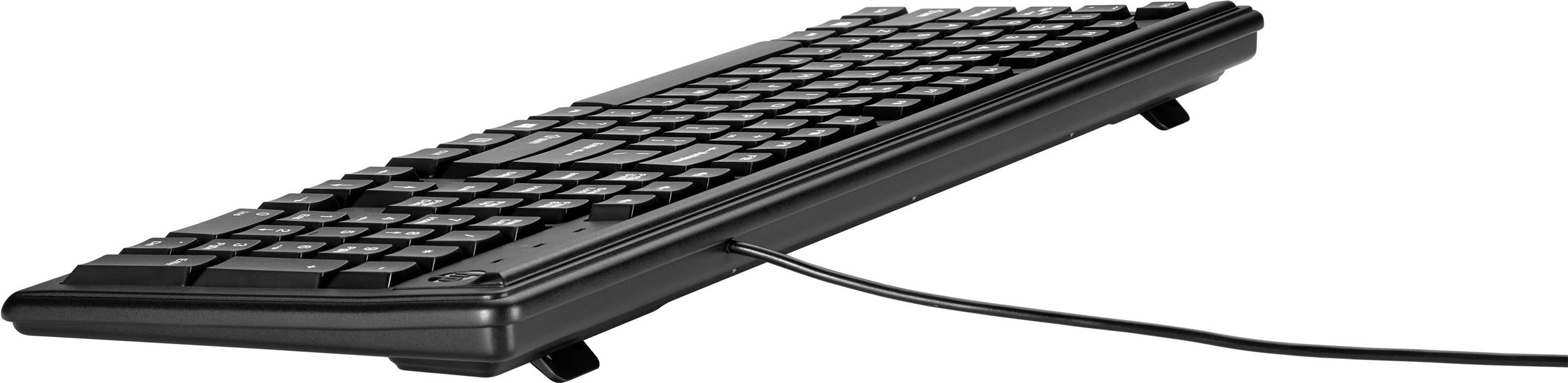HP 100 toetsenbord USB Zwart