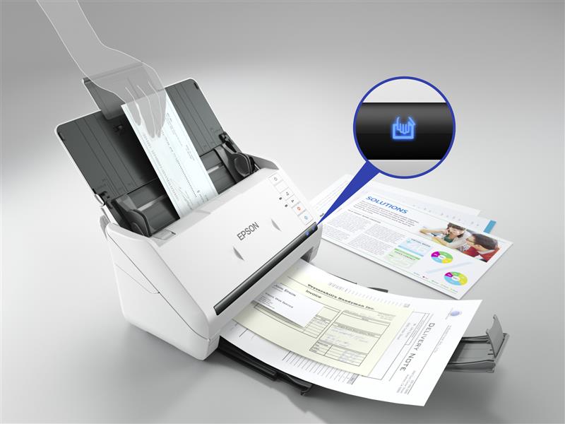 Epson WorkForce DS-530