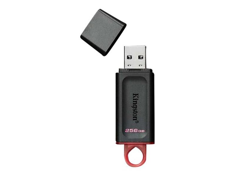 KINGSTON 256GB USB3 2 Gen1 DT Bk Pink