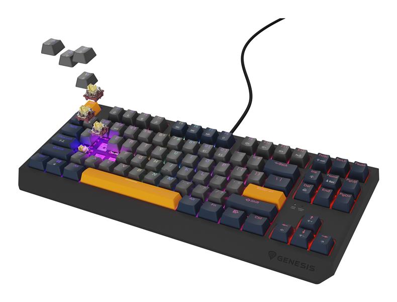 GENESIS Thor 230 TKL toetsenbord Gamen USB QWERTY Engels Blauw